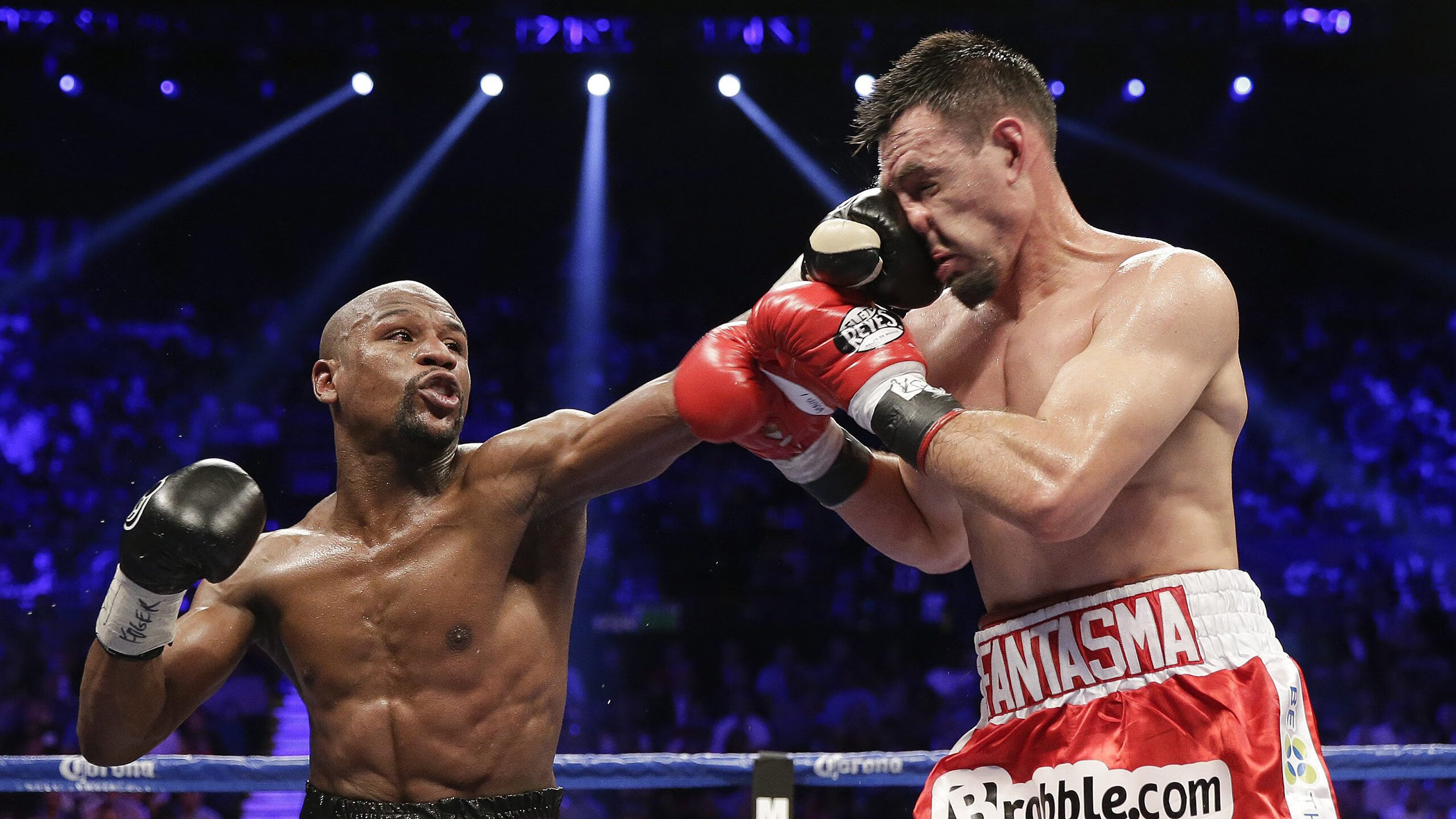 乐鱼体育网页版-体育新闻中心主办体育短视频版权保护技术论坛，体育短视频下载  第1张